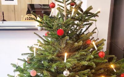 Betriebsruhe zum Jahreswechsel